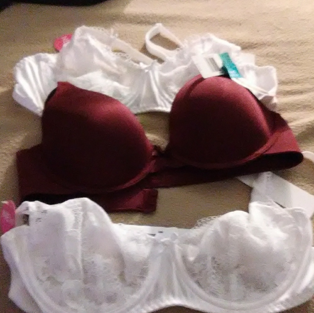 Brand new BRAS with tags, 36b.